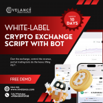 Earn Big With Low Risk: The Ultimate Crypto Exchange Script for P2P, CEX & DEX