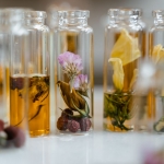 Unlocking the Allure of Chypre Sublime and Exploring the Deep Chypre Meaning
