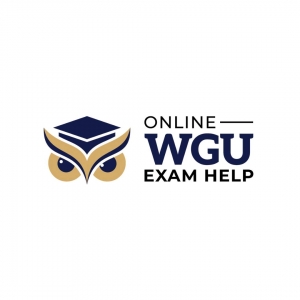 Online WGU Exam Help